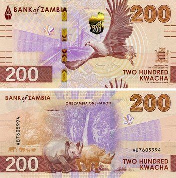 Banknote Zambia 200 Kwacha 2024 (2025) UNC Eagle Rhinos Buffalo Kalambo Falls (PW66)