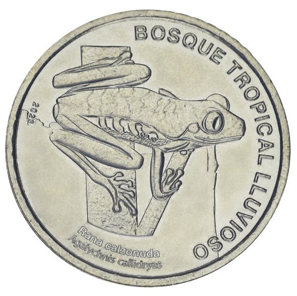 Монета Коста-Ріка 50 колонів 2023 (2025) UNC Жаба Жаба М21963 фото
