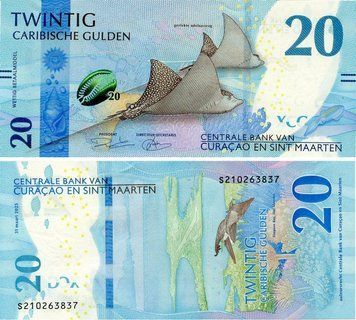 Банкнота Кюрасао та Сінт-Мартен 20 гульденів 2025 UNC Сіра риба-ангел (P2) Б21887 фото