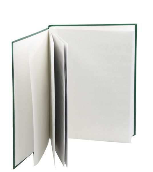 Stamp album (classer) 64 pages (32 white sheets) BASIC green Leuchtturm