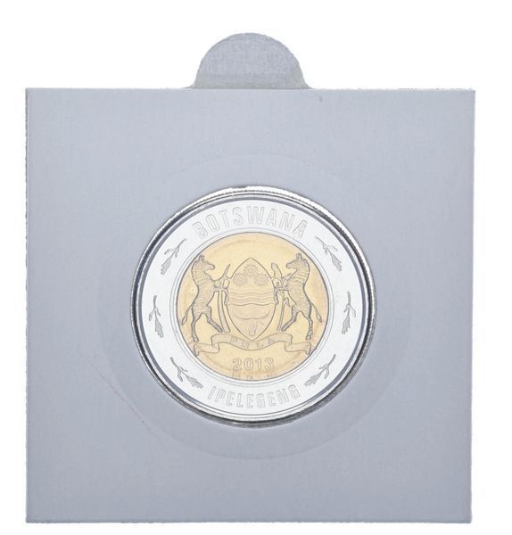Botswana 2 Pool 2013 Bimetal UNC Rhino