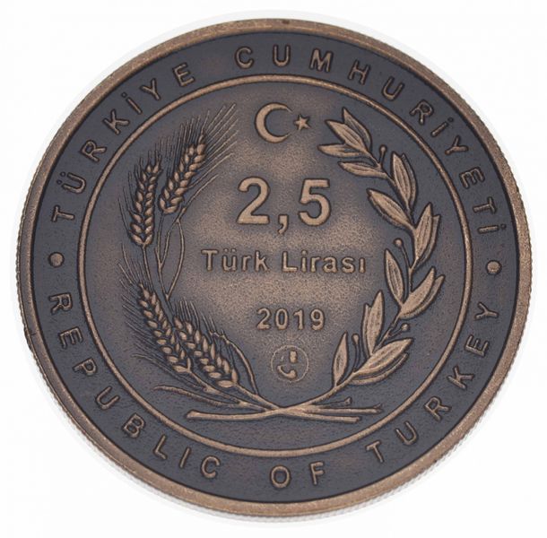 Монета Туреччина 2,5 ліри 2019 UNC Бронза Співає Насими М12749 фото