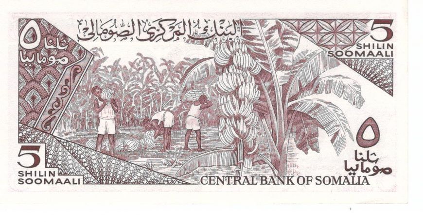 Somalia 5 shillings 1987 UNC (P31c)