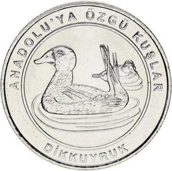 Coin Turkey 1 kurush 2018 UNC "Birds of Turkey - Savka"