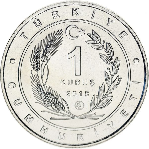 Монета Турция 1 куруш 2018 UNC &laquo;Птицы Турции - Савка&raquo; М10662 фото