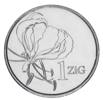 Zimbabwe 1 zig 2024 UNC