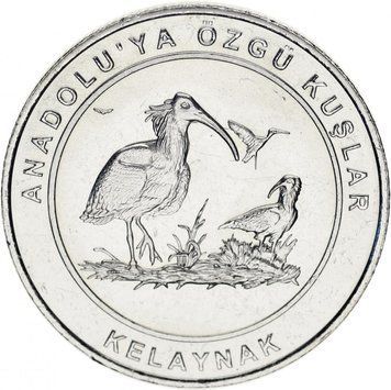 Coin Turkey 1 kurush 2018 UNC "Birds of Turkey - Forest Ibis"
