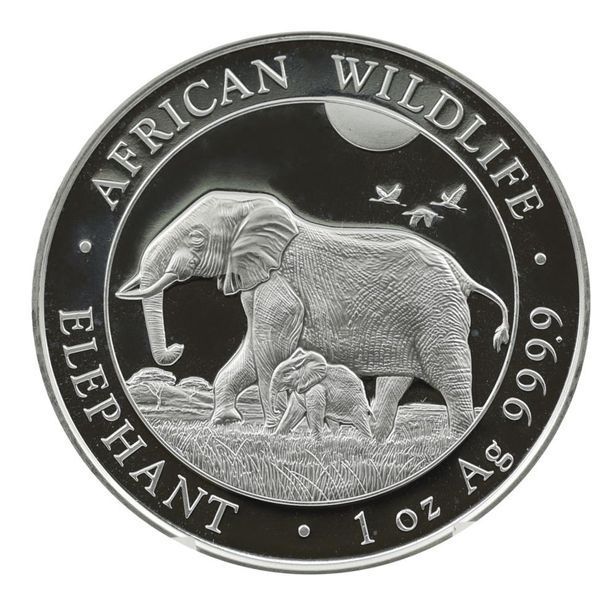 Coin Somalia 100 Shillings 2022 Silver UNC Elephants (Ag 999.9, oz, 31.1 grams)