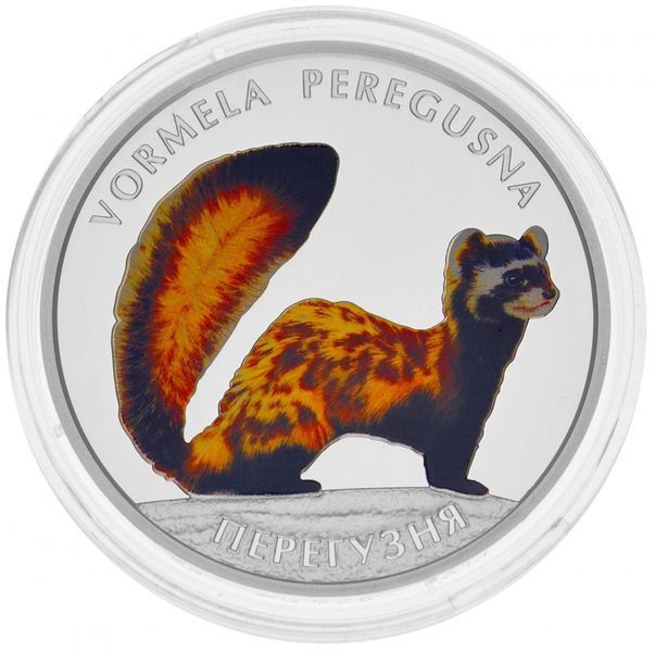 Монета Україна 10 гривень 2017 Перегузна Срібло Proof М06288 фото