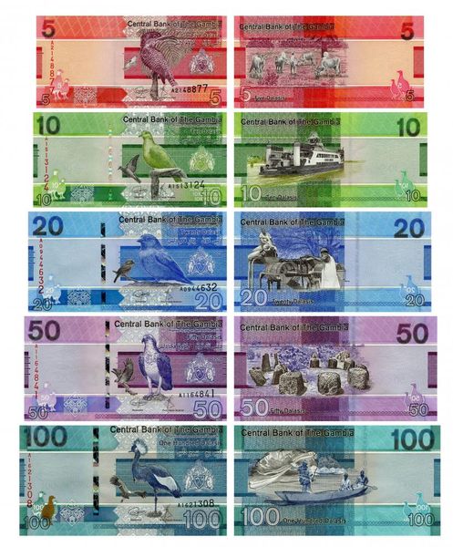 Gambia set of 5 banknotes 2019 UNC Birds of Gambia (Pnew) 5, 10, 20, 50, 100 dalasi