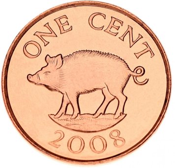 Bermuda 1 cent 2008 UNC Boar Pig