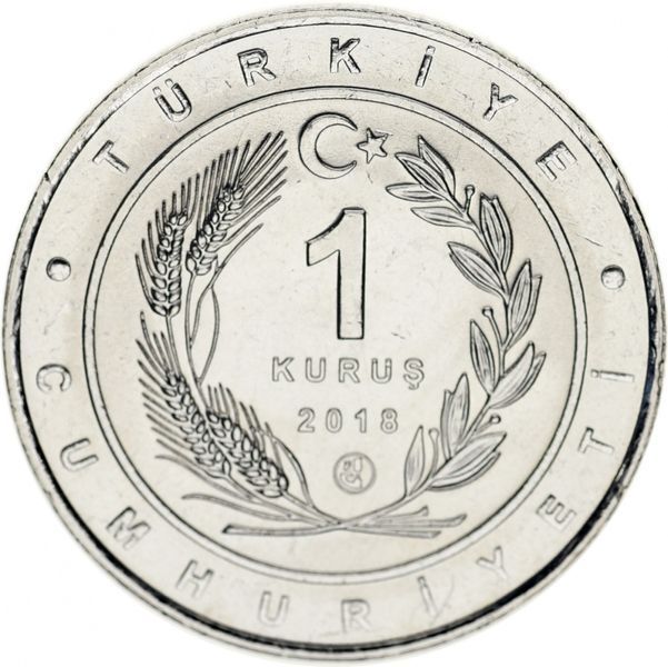 Монета Туреччина 1 куруш 2018 UNC &laquo;Птахи Туреччини - Султанка&raquo; М10668 фото