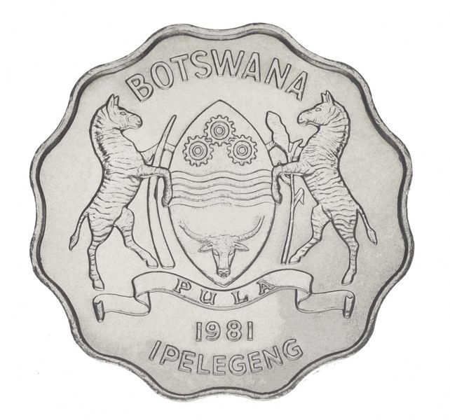 Coin Botswana 1 pula 1981 AU-UNC Zebra