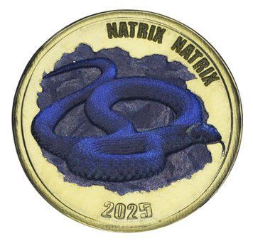 Монета Острів Чілое 2 фунти 2025 UNC Чилі Рептилія - ​​Змія - Уж М20818 фото