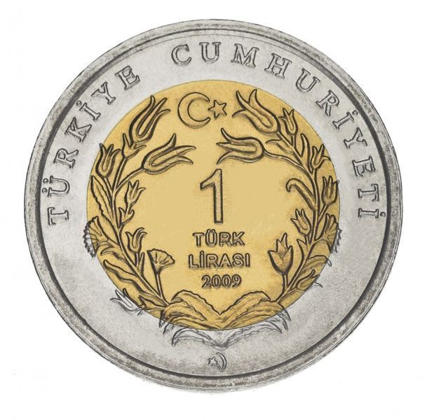 Монета Турция 1 лира 2009 Биметалл &laquo;Фауна Турции - Черепаха&raquo; UNC М16073 фото