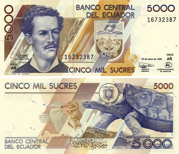 Ecuador 5000 sucre 1999 UNC Turtle (P128)