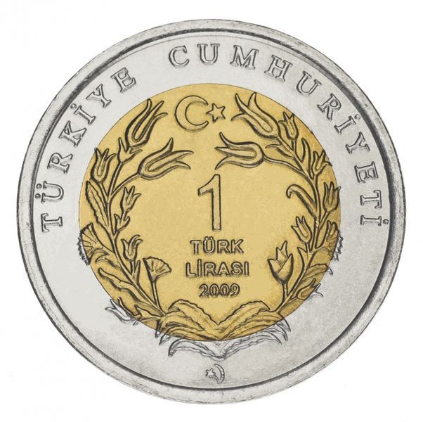 Туреччина 1 ліра 2009 Біметал &laquo;Фауна Туреччини - Слони&raquo; UNC М16074 фото