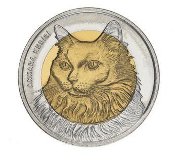 Turkey 1 lira 2010 Bimetal "Fauna of Turkey - Angora cat" UNC