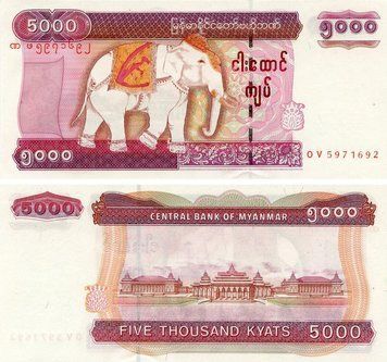 Банкнота М'янма (Бірма) 5000 к'ят 2009 UNC Слон (P81) Б21775 фото