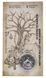 Coin Ukraine 5 hryvnia 2024 UNC Neither a bullet nor a saber in souvenir packaging Colored