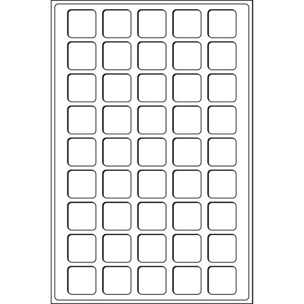 Coin tray (compartment 31 * 31) TABCHAMPBL Leuchtturm