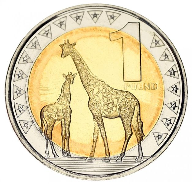 South Sudan 1 pound 2015 Bimetal UNC Giraffe