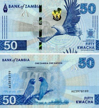 Banknote Zambia 50 kwacha 2024 (2025) UNC Parrots (PW64)