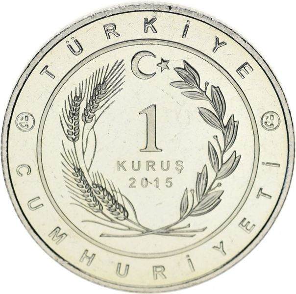 Coin Turkey 1 kurush 2015 UNC Flag Great Turkic States - Ghaznavid state