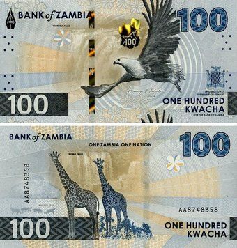 Banknote Zambia 100 kwacha 2024 (2025) UNC Giraffe (PW65)