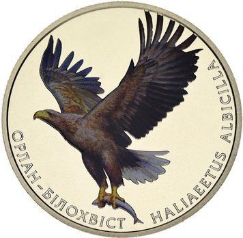 Україна 2 гривні 2019 Орлан-білохвіст UNC М12201 фото