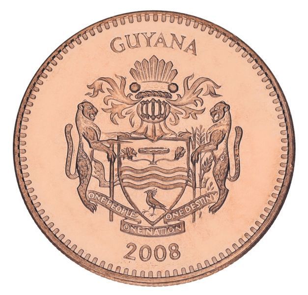 Монета Гайана 5 центів 2008 AU-UNC М20607 фото