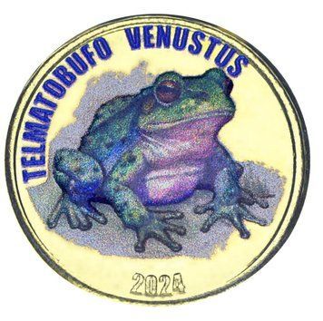 Монета Острів Чілое 2 фунти 2024 UNC Чилі Жаба - Чилійський свистун М19937 фото