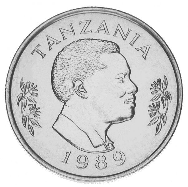Монета Танзания 50 сенти 1989 UNC Заяц М11845 фото