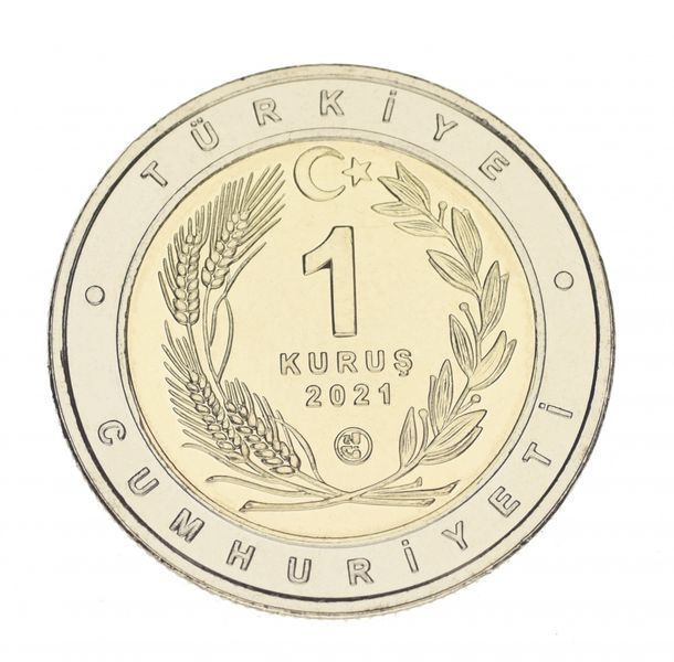 Туреччина 1 куруш 2021 Біметал UNC Тварини - Собака Каталбурун М16038 фото