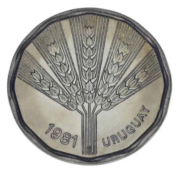 Coin Uruguay 2 Pesos 1981 UNC Commemorative
