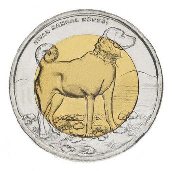 Турция 1 лира 2010 &laquo;Фауна Турции - Собака&raquo; UNC (KM#1280) М02451 фото