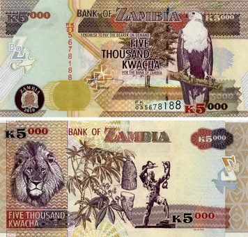 Банкнота Замбія 5000 квача 2010 UNC Лев (P45f) Б21908 фото