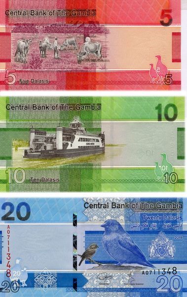 Гамбія набір з 3 банкнот 2019 UNC (Pnew) 5, 10, 20 Далас Б12371 фото