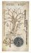Coin Ukraine 5 hryvnia 2024 UNC Neither a bullet nor a saber in souvenir packaging