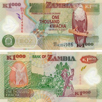 Банкнота Замбія 1000 квача 2011 Полімер UNC Тварина - Трубкозуб (земляна свиня) (P44i) Б21910 фото