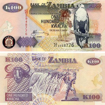 Банкнота Замбія 100 квача 2011 UNC Буйвол (P38) Б21911 фото