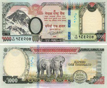 Banknote Nepal 1000 Rupees 2019 AU-UNC Elephants (PW82)