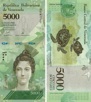 Банкнота Венесуэла 5000 боливар 2017 UNC Черепахи (P97) Б14771 фото
