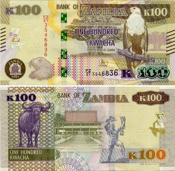 Банкнота Замбія 100 квача 2021 UNC Буйвол (Pnew) Б16834 фото