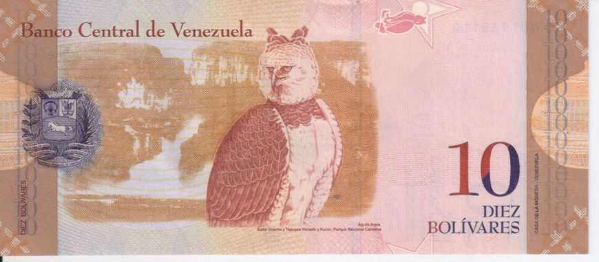 Venezuela 10 Bolivar 2013 UNC Bird Owl (P90d)