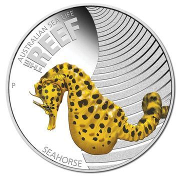 Морський коник