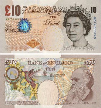 UK England 10 lbs 2015 UNC (P389e)