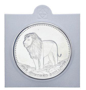Сомалі 100 шилінгів 2013 UNC Лев Велика монета М11834 фото