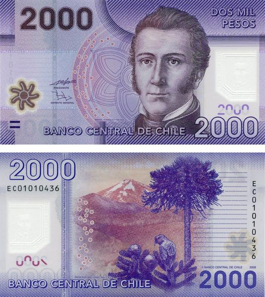 Chile 2000 Pesos 2009 Polymer UNC Bird Nalkas National Park (P162)