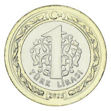 Монета Турция 1 лира 2025 Биметалл UNC М24338 фото